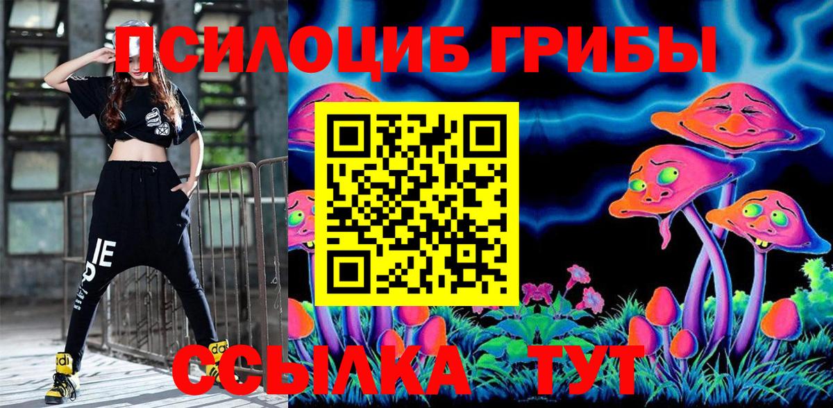 Воткинск  Галлюциногенные грибы Psilocybine cubensis  Галлюциногенные грибы прущие грибы  Вход с VPN 